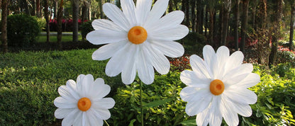 Grands fleurs de marguerite artificielles géantes