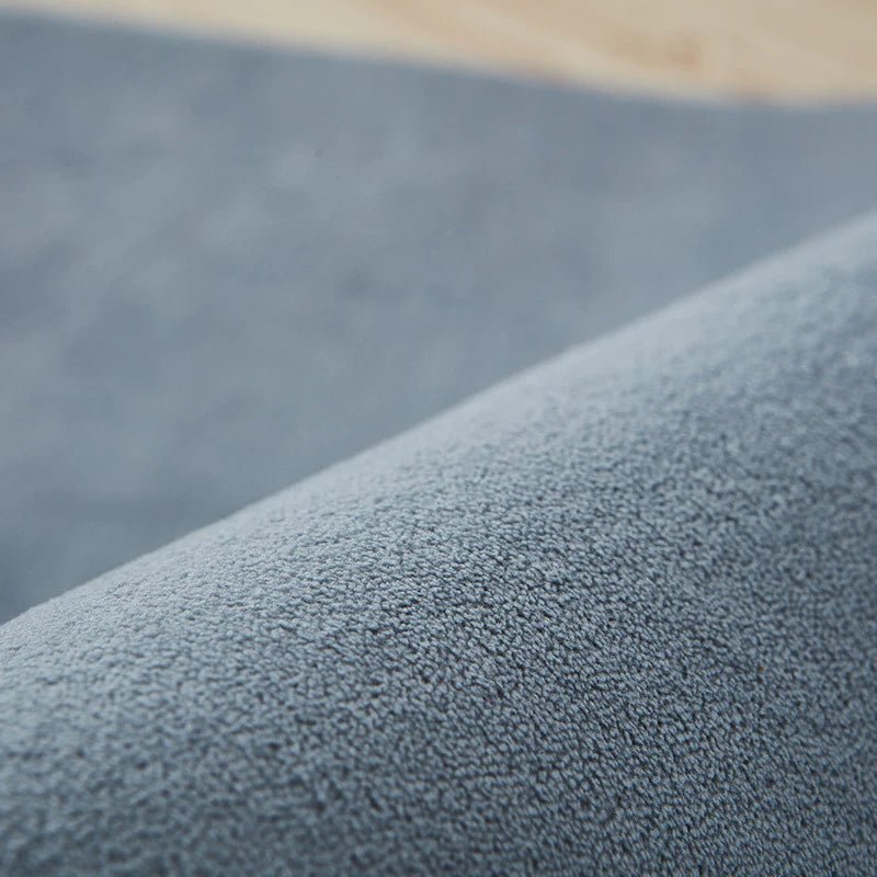 tapis en velours de corail de couleur unie, confortable et doux, pour salon, chambre à coucher,