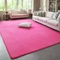 tapis en velours de corail de couleur unie, confortable et doux, pour salon, chambre à coucher,
