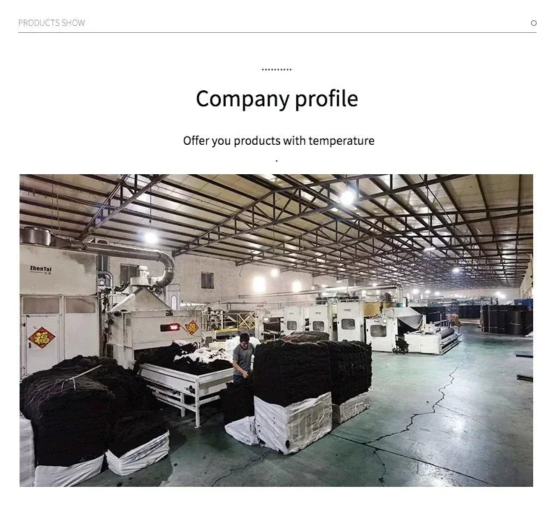 Tapis ovales de style moderne pour salon,