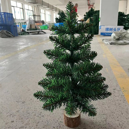 Petit pin de noël | Festif Compact