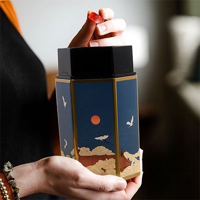 Boîte à Thé Conservatrice d'Arômes | Théa Élégance